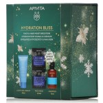 Apivita Promo Aqua Beelicious Light Gel-Cream 40ml & Sea Lavender Mask 2x8ml & Hyaluronic Hydra Shampoo 75ml
